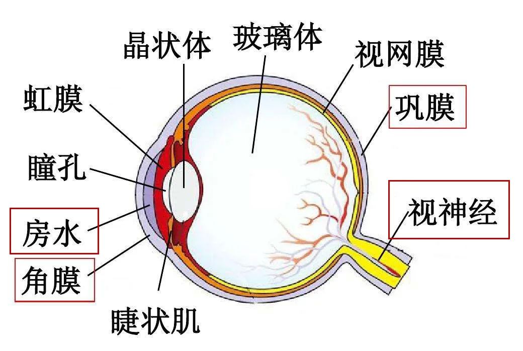 微信图片_20220404101748.jpg